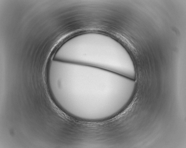 X0000115650934200912011519