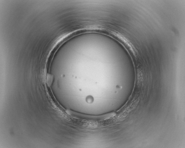 X0000115650935200912011519