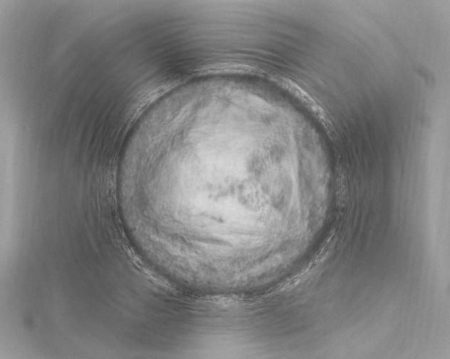 X0000115650937200912011519