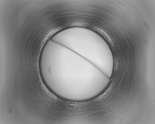 X0000115650938200912011519