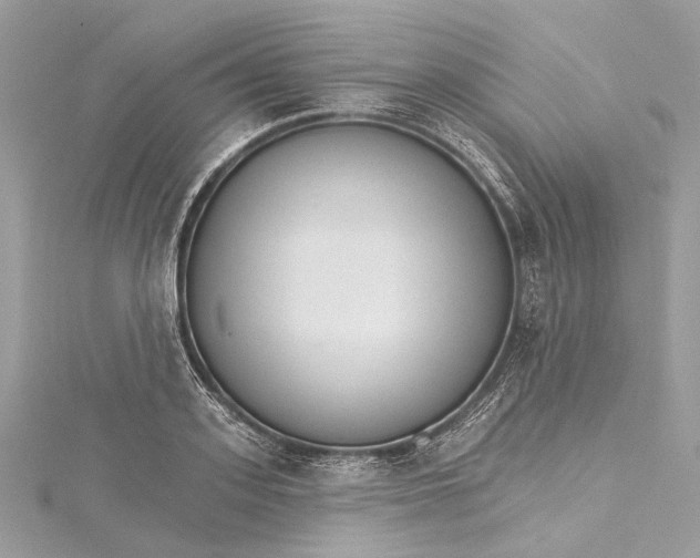 X0000115650939200912011519