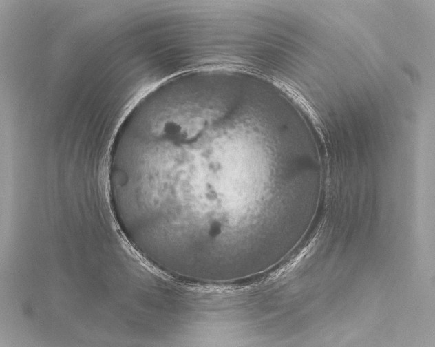 X0000115650941200912011519