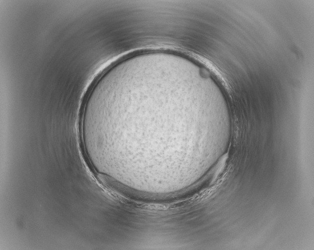 X0000115650943200912011519