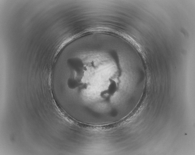 X0000115650945200912011519