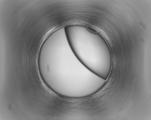 X0000115650946200912011519