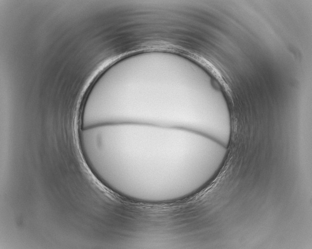 X0000115650947200912011519