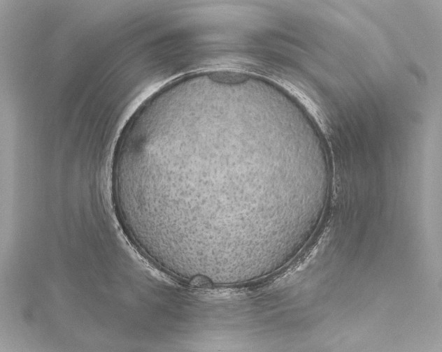 X0000115650949200912011519