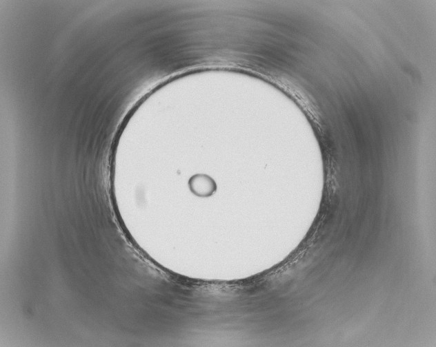 X0000115650950200912011519