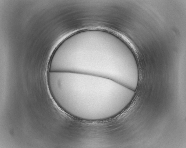 X0000115650951200912011519