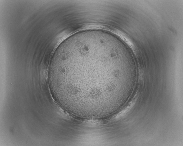 X0000115650953200912011519