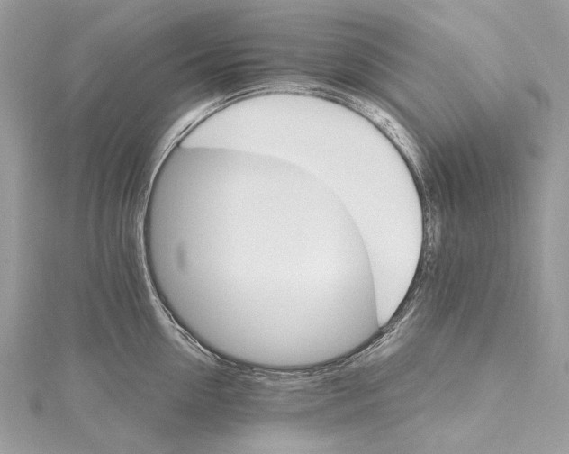 X0000115650954200912011519