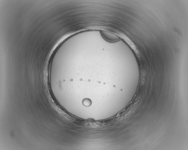 X0000115650955200912011519