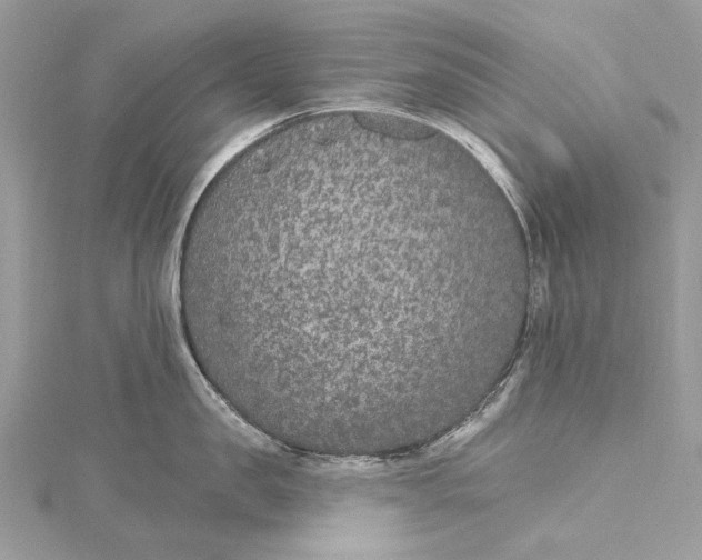 X0000115650957200912011519