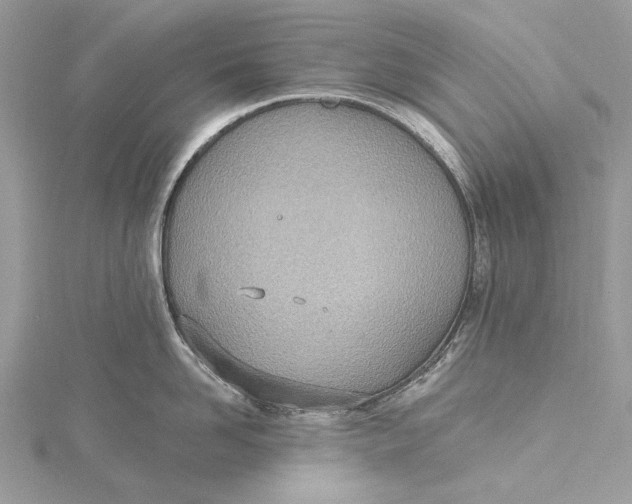 X0000115650958200912011519