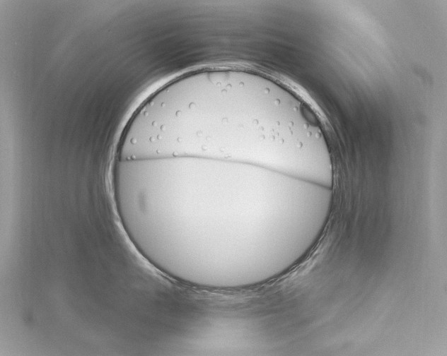 X0000115650959200912011519