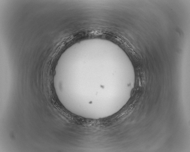 X0000115650961200912011519