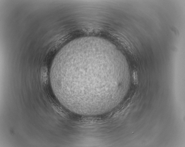 X0000115650963200912011519