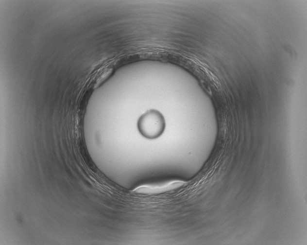 X0000115650964200912011519