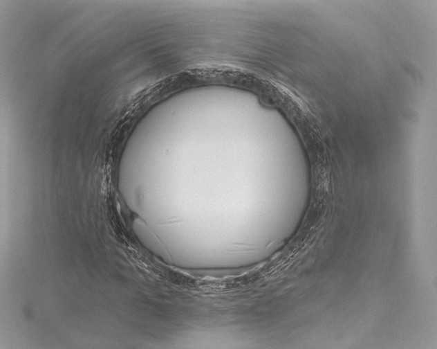 X0000115650965200912011519