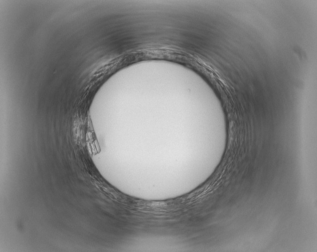 X0000115650966200912011519