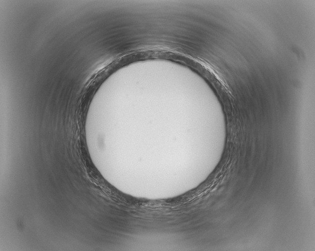 X0000115650967200912011519