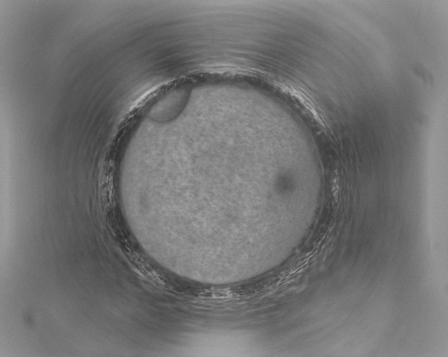 X0000115650968200912011519