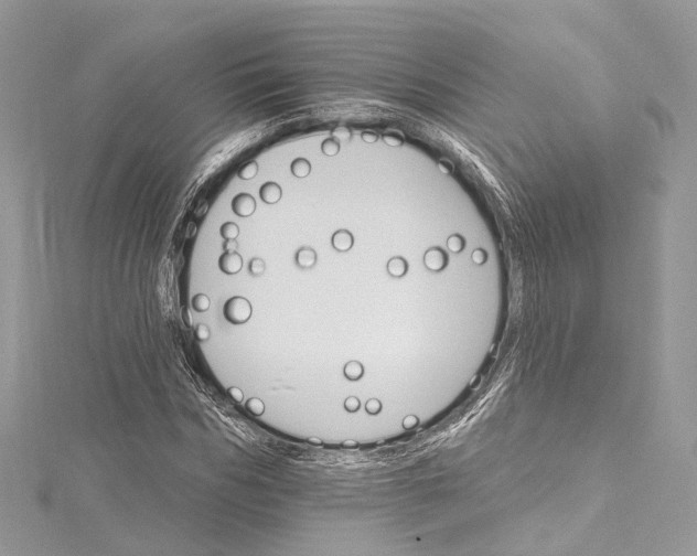 X0000115650970200912011519