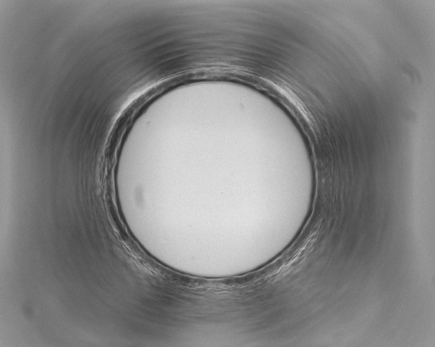 X0000115650971200912011519