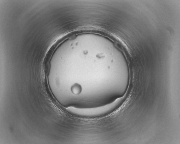 X0000115650973200912011519