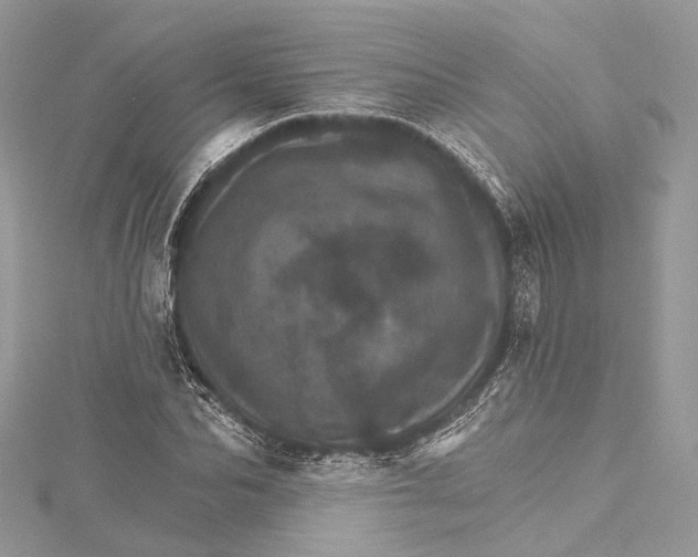 X0000115650974200912011519