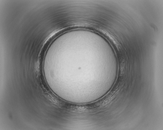 X0000115650975200912011519