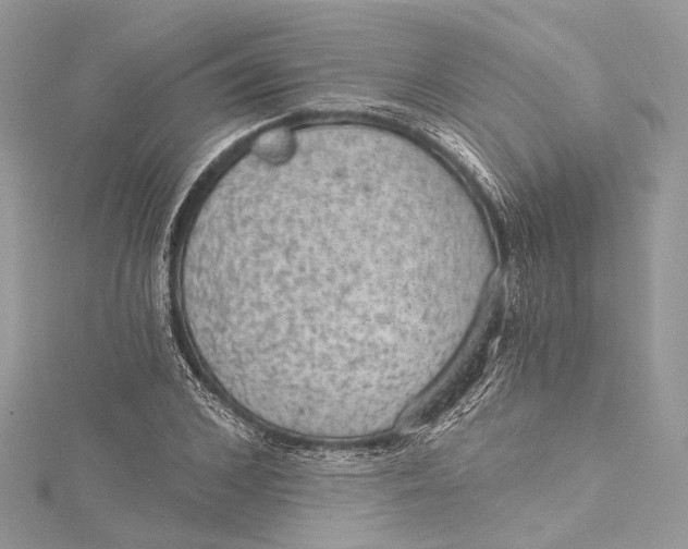 X0000115650976200912011519