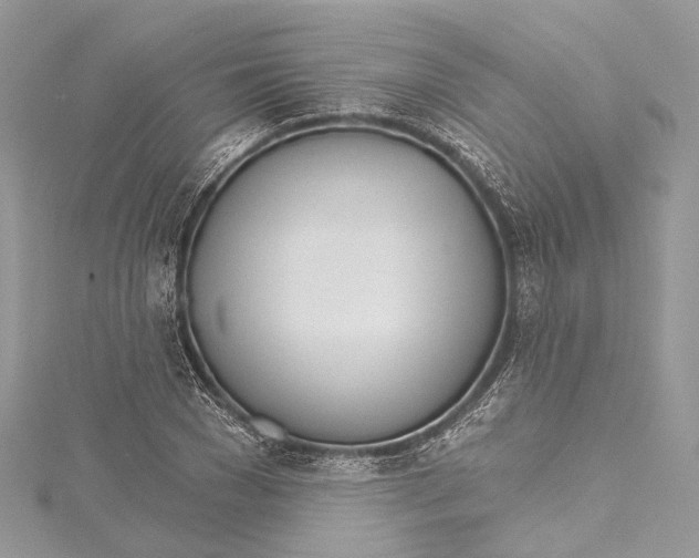 X0000115650977200912011519