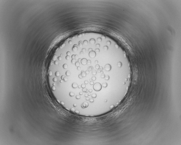 X0000115650978200912011519