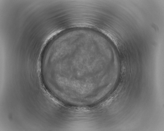 X0000115650979200912011519