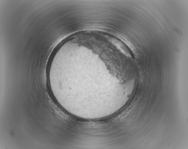 X0000115650980200912011519