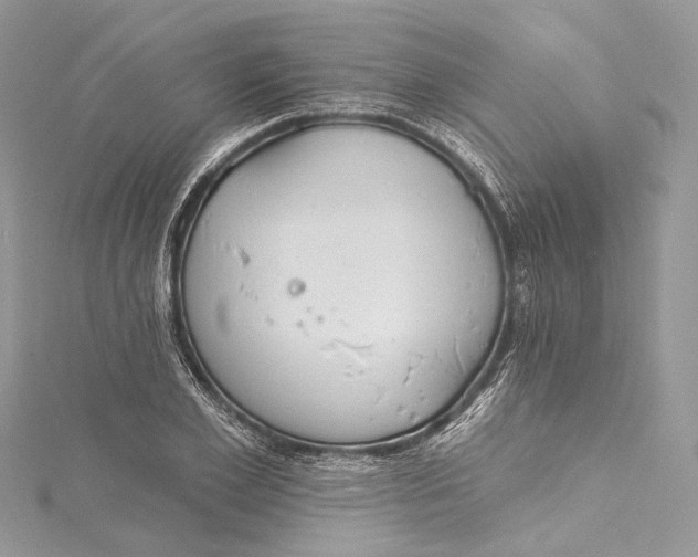 X0000115650981200912011519