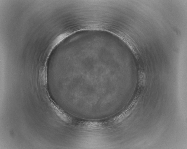 X0000115650982200912011519