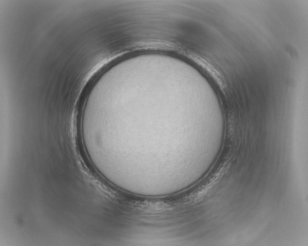 X0000115650983200912011519