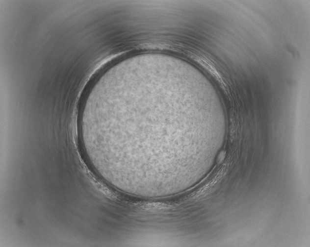 X0000115650984200912011519