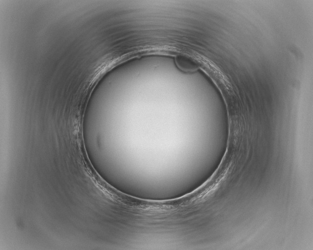 X0000115650985200912011519