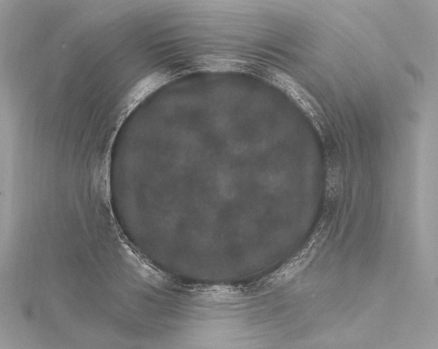 X0000115650986200912011519