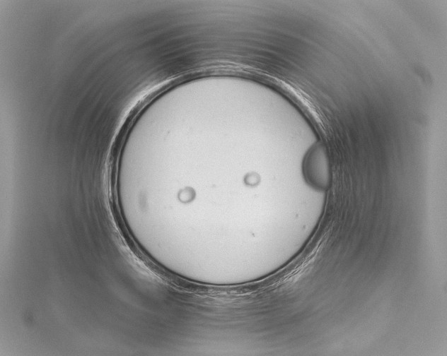 X0000115650987200912011518