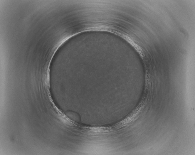 X0000115650988200912011518