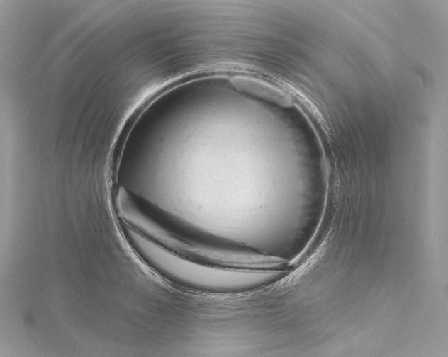 X0000115650989200912011518