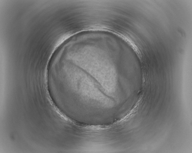 X0000115650990200912011518