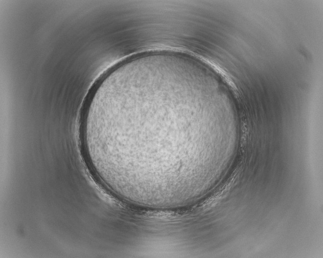 X0000115650991200912011518