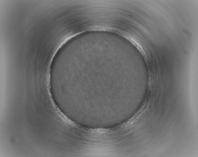 X0000115650992200912011518