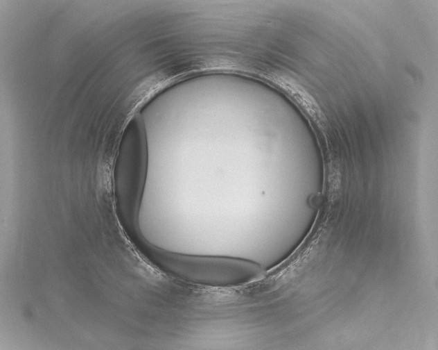 X0000115650993200912011518