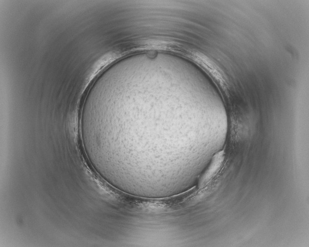 X0000115650994200912011518